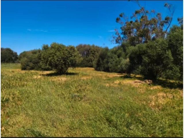 Granja En venta en Barbate photo 0