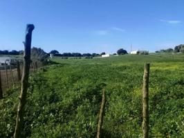 Terreno Urbanizable En venta en Vejer De La Frontera photo 0