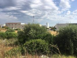Industrial En venta en Barbate photo 0