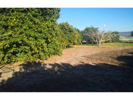 Terreno Urbanizable En venta en Barbate photo 0