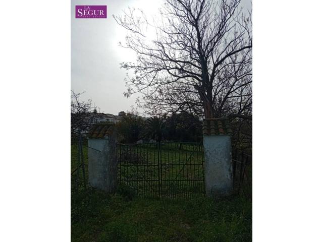 Terreno Urbanizable En venta en Medina Sidonia photo 0