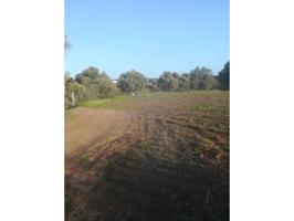 Terreno Urbanizable En venta en Vejer De La Frontera photo 0