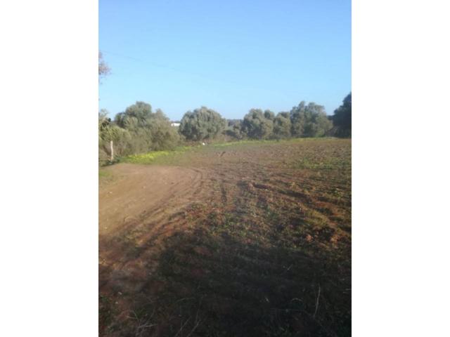 Terreno Urbanizable En venta en Vejer De La Frontera photo 0