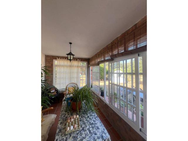 CASA DE CAMPO ENTRE MEDINA Y BENALUP photo 0