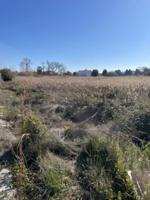 Suelo en SECTOR SUNP-4 PLAYA DE SAGUNTO photo 0