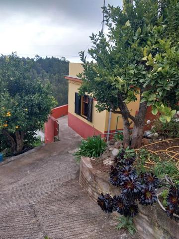 Casa En venta en Santa María de Guía de Gran Canaria photo 0