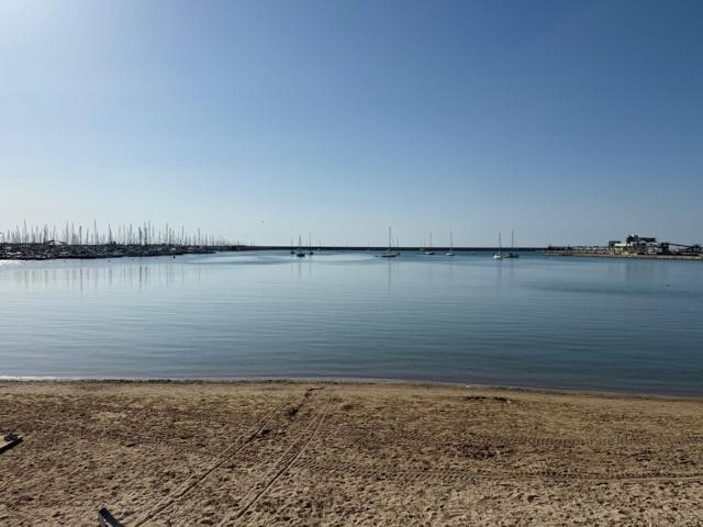apartamento con piscina y en primera linea de la playa de l acequion photo 0