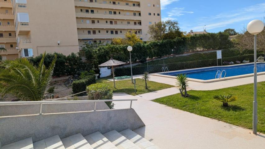 Estudio cerca del mar con piscina photo 0