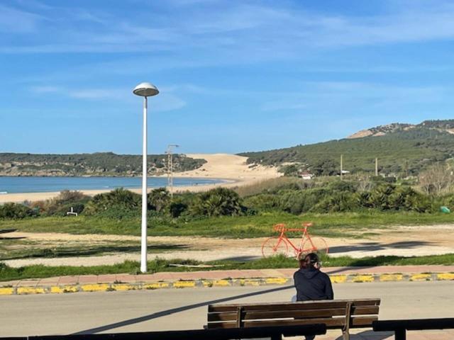 BOLONIA CON VISTAS AL MAR photo 0