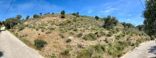 Terreno de 33.000m en venta photo 0