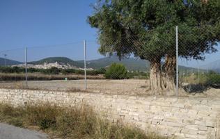 Parcela en Venta en Moratalla Murcia photo 0