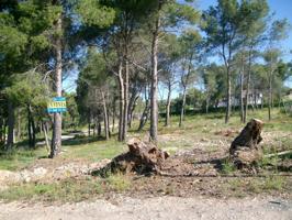 Terreno Urbanizable En venta en Mas Del Plata, Cabra Del Camp photo 0