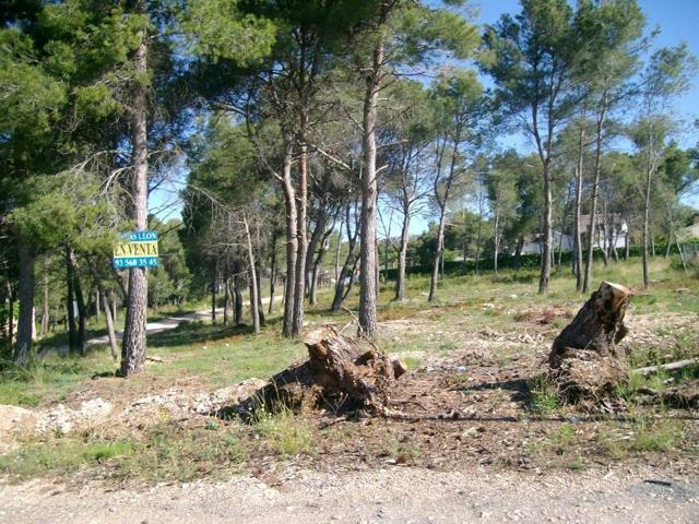 Terreno Urbanizable En venta en Mas Del Plata, Cabra Del Camp photo 0