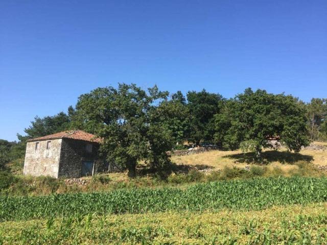 Casa De Campo En venta en Moimenta, Lalin (casco Urbano) photo 0