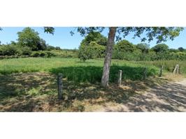 K2INMOBILIARIA VENDE FINCA RUSTICA photo 0