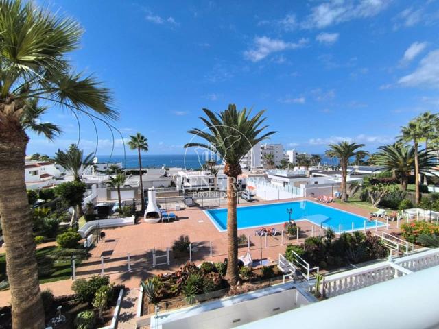 Apartamento con terraza y vistas al mar en Puerto Colón photo 0