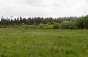Terreno Urbanizable En venta en Rias Bajas, Pontevedra photo 0