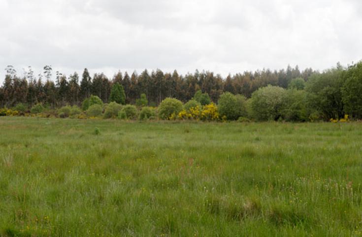 Terreno Urbanizable En venta en Rias Bajas, Pontevedra photo 0