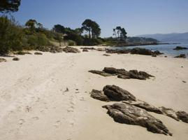 Venta de 6 Casas Independientes en CARBALLAL - VILLALONGA Sanxenxo photo 0