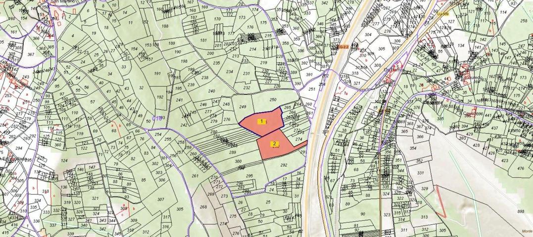 Oportunidad Única: Conjunto de Fincas Rústicas en Monforte de Lemos photo 0