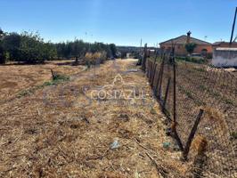 PARCELA SEGREGADA ZONA CAZADORES 2 photo 0