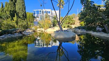 Chalet - Torre - Elche photo 0