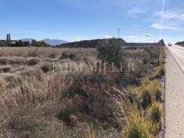 Terreno Urbanizable En venta en Fortuna photo 0