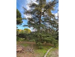 SOLAR EN VENTA SEGREGABLE photo 0