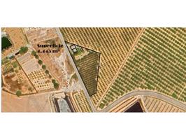 GLOBAL MÖLLER vende Parcela Rustica con Huerto de 4.445m² de extensión, perfectamente vallada y delimitada, en el Paraje photo 0