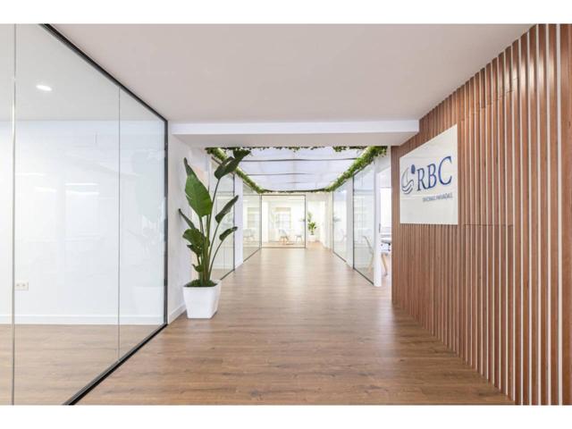 OFICINAS PRIVADAS EN CALLE PALAS 10, ENTRESUELO. CENTRO CIUDAD. GLOBAL MÖLLER VENDE Entreplanta Completa con una superfi photo 0