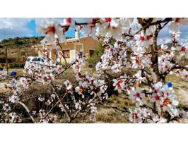 Otro En venta en Relleu photo 0