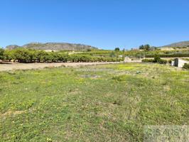 Terreno Urbanizable En venta en Pego, Pego photo 0
