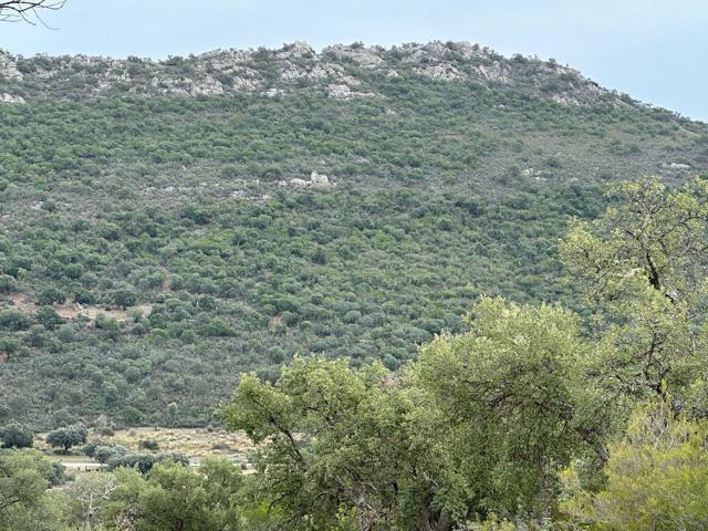 Terreno Urbanizable En venta en Carretera De Miajadas, Caceres photo 0