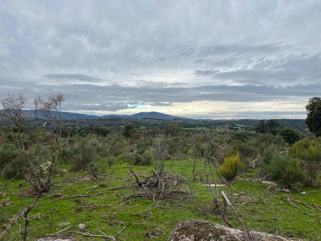 Terreno Urbanizable En venta en Afueras, Valencia De Alcantara photo 0