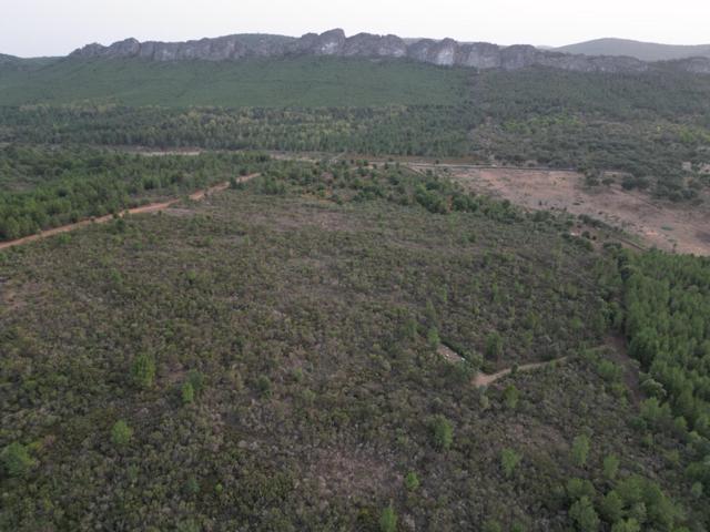 Terreno Urbanizable En venta en Extremadura, Valencia De Alcantara photo 0