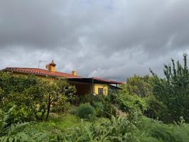 Casa de campo con finca de 2 hectáreas en La Codosera – Entorno natural con río, olivar y frutales photo 0