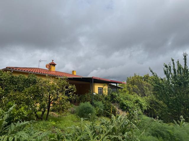 Casa de campo con finca de 2 hectáreas en La Codosera – Entorno natural con río, olivar y frutales photo 0