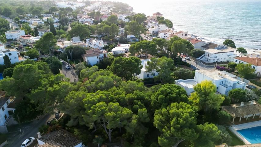 SOLAR CON PROYECTO 2 CHALETS EN SON VERI photo 0