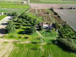 Finca Rustica Mallorquina photo 0