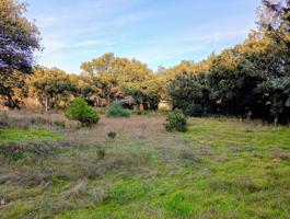 Parcela en la exclusiva urbanización de Guadamonte, a 5 minutos del centro de Boadilla. photo 0
