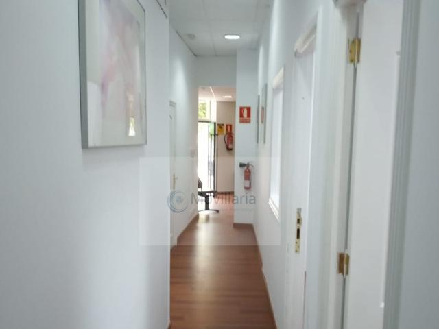 Otro En alquiler en Santa Cruz De Tenerife photo 0