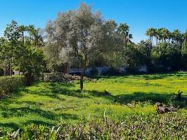 Terreno en venta en Sierra Blanca- Milla de Oro Marbella photo 0