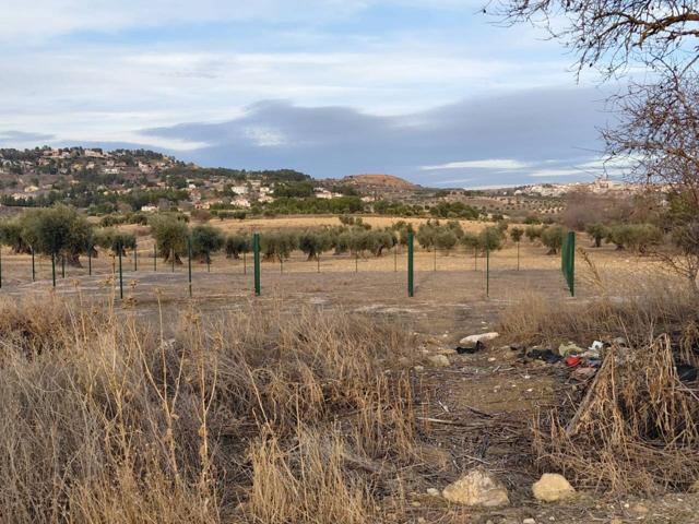 Terreno a 5 minutos del pueblo medieval de Chinchón photo 0