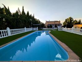 Impresionante casa rústica en San Roque. photo 0