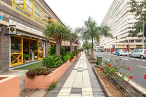 TRASPASO FLORISTERÍA EN LAS PALMAS: 32 AÑOS DE ÉXITO Y PASIÓN POR LAS FLORES photo 0