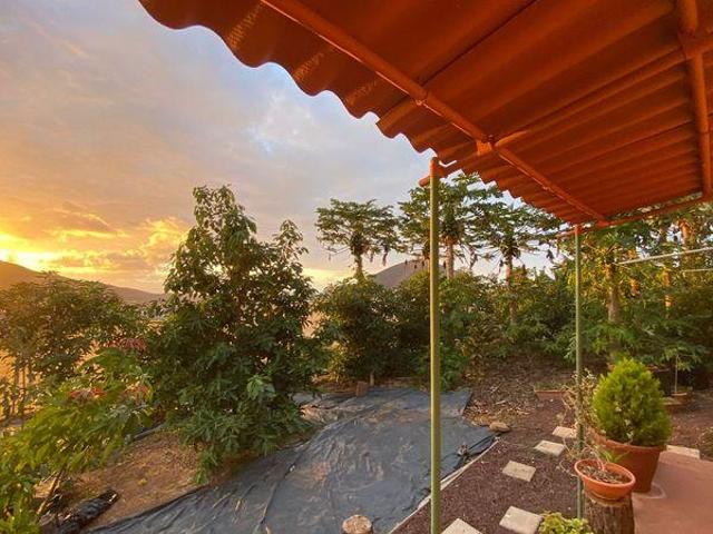 Finca rústica en Guía photo 0