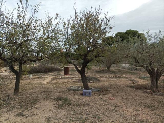 Casa De Campo En venta en Elche photo 0