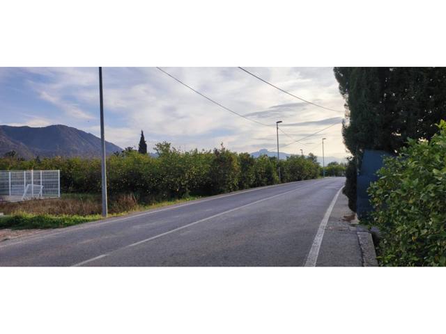 VENDO PARCELA RUSTICA DE 1.100 M2 EN LA HUERTA DE BENIAJA, MURCIA photo 0