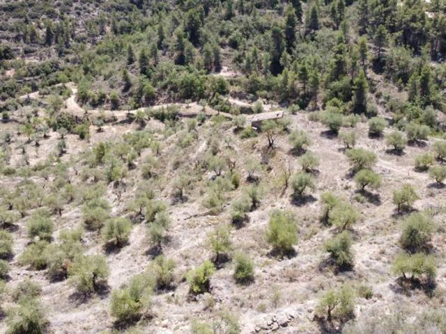 Casa De Campo En venta en Estiras S-n, Les Borges Blanques photo 0