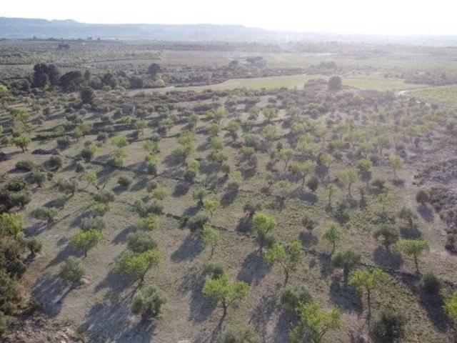Casa De Campo En venta en Les Borges Blanques photo 0